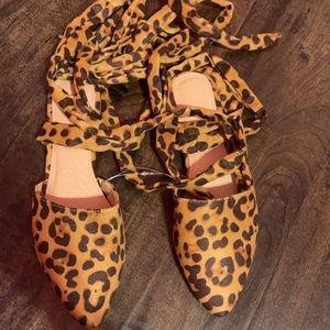 Cheeta Shoes